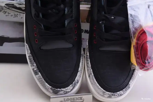 Reps TBK 2.0 Animal Air Retro Jordan - Instinct SE CV3583-003 3 0427